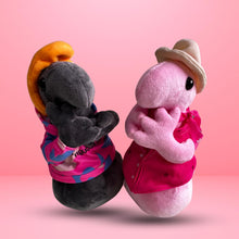 Load image into Gallery viewer, B&amp;K Wosh Special Edition Plush Duo
