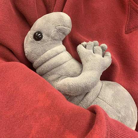 Wosh Life Plush Get your Official Wosh Plush Today